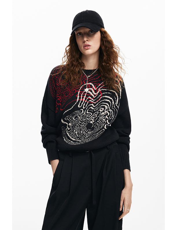 Desigual Sweater