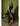 Joseph Ribkoff Heavy Knit Wide Leg Pull-On Pants